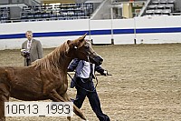 10r13_1993 proof