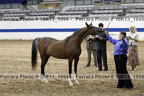 Proof 10r13_1994