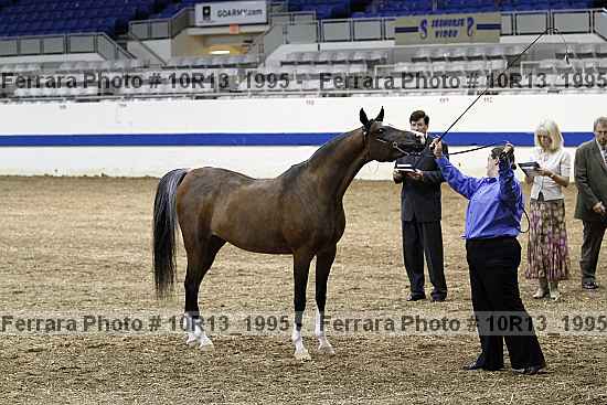 Proof 10r13_1995