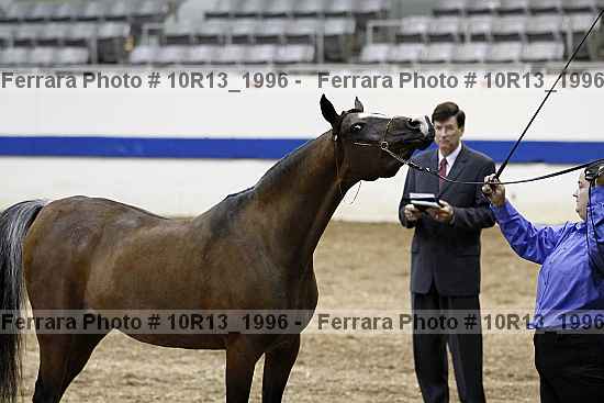 Proof 10r13_1996