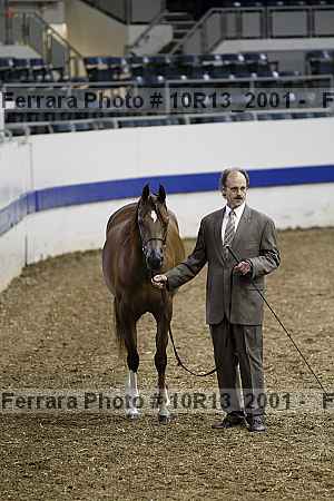 Proof 10r13_2001