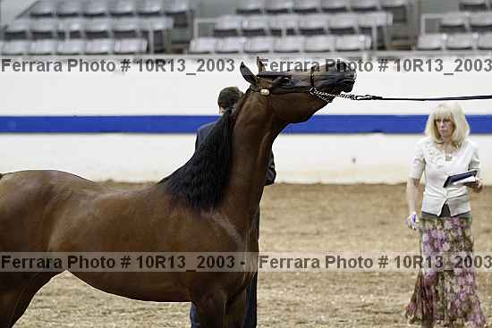 Proof 10r13_2003