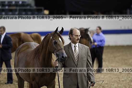 Proof 10r13_2005