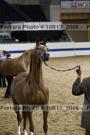 Proof 10r13_2006