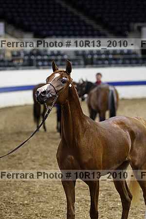 Proof 10r13_2010