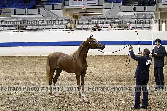Proof 10r13_2011