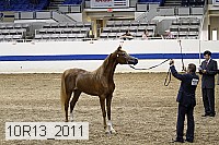 10r13_2011 proof