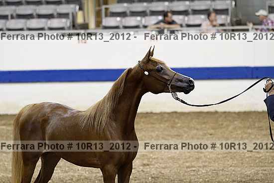 Proof 10r13_2012