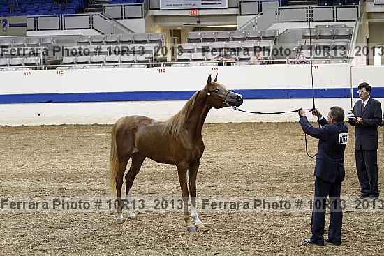 Proof 10r13_2013