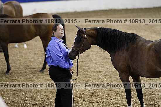 Proof 10r13_2015