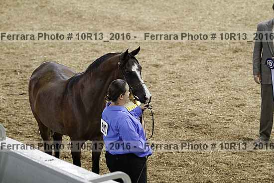 Proof 10r13_2016