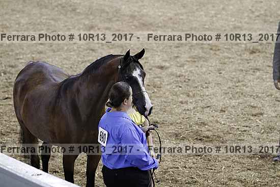 Proof 10r13_2017