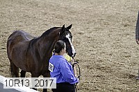 10r13_2017 proof