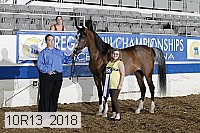 10r13_2018 proof
