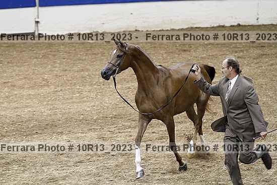 Proof 10r13_2023