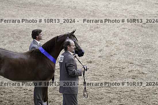 Proof 10r13_2024