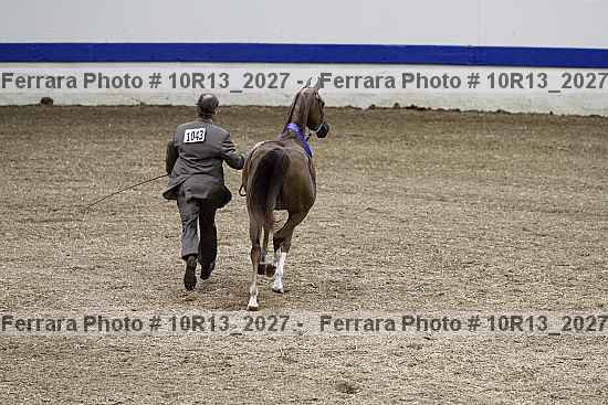 Proof 10r13_2027
