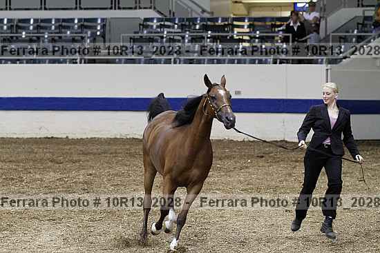 Proof 10r13_2028