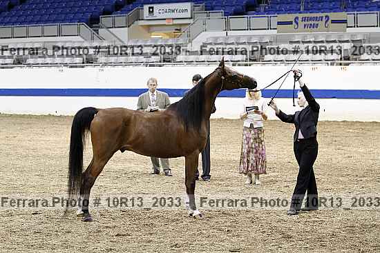 Proof 10r13_2033