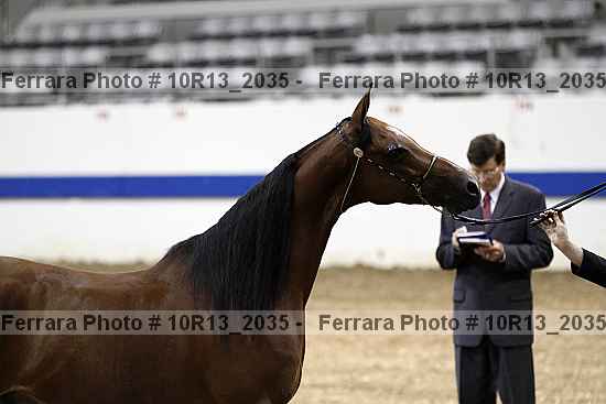 Proof 10r13_2035