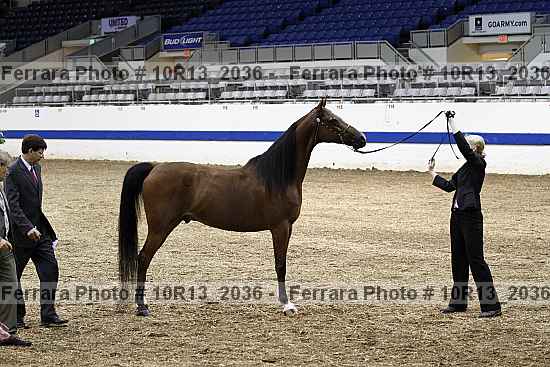 Proof 10r13_2036