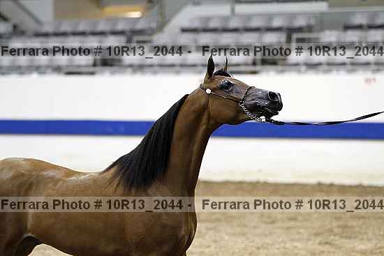 Proof 10r13_2044