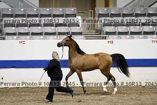 Proof 10r13_2045