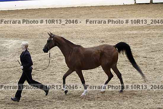 Proof 10r13_2046