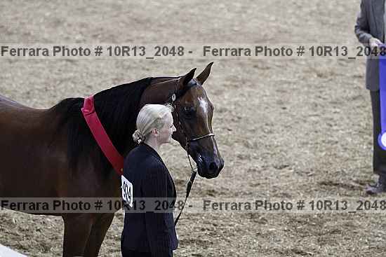 Proof 10r13_2048