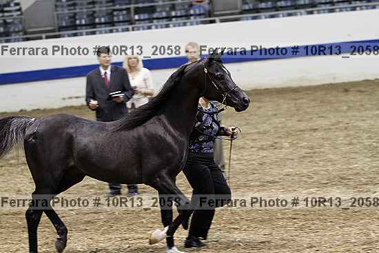 Proof 10r13_2058