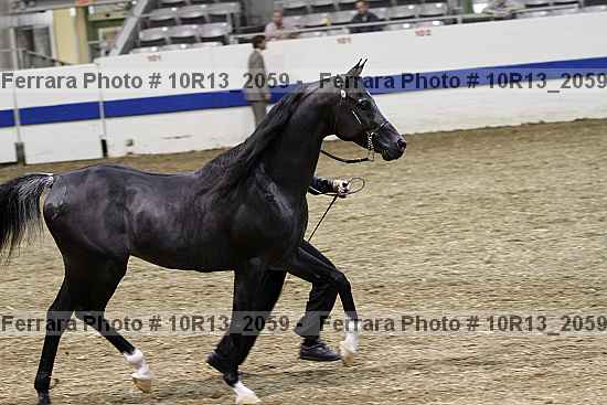 Proof 10r13_2059