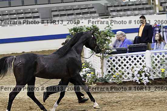 Proof 10r13_2060