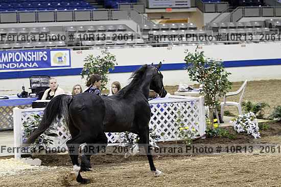 Proof 10r13_2061