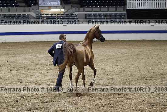 Proof 10r13_2063