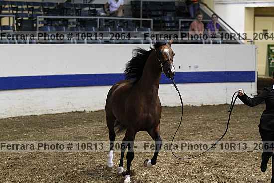 Proof 10r13_2064