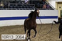 10r13_2064 proof