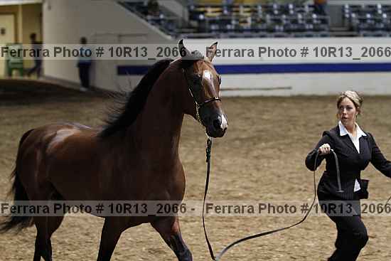 Proof 10r13_2066