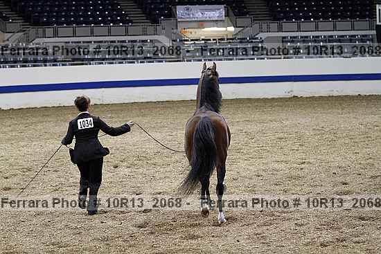 Proof 10r13_2068