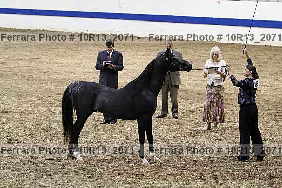 Proof 10r13_2071