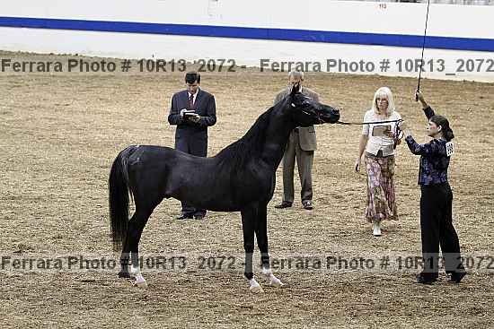 Proof 10r13_2072