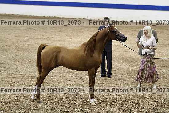 Proof 10r13_2073
