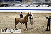 10r13_2074 proof