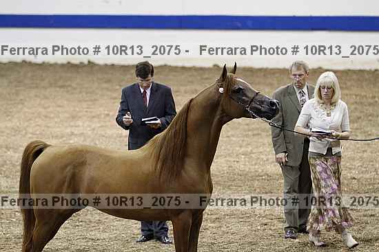 Proof 10r13_2075