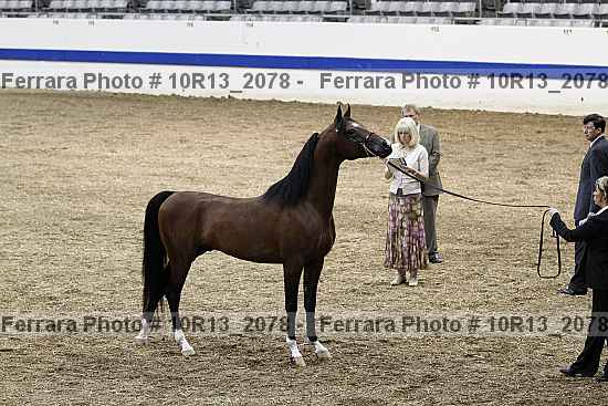 Proof 10r13_2078