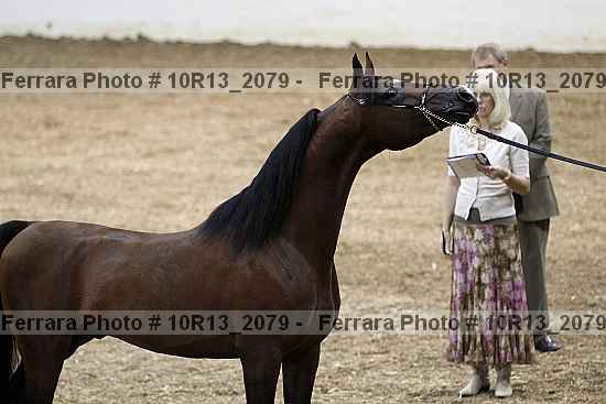 Proof 10r13_2079