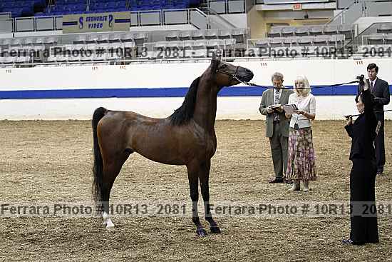 Proof 10r13_2081