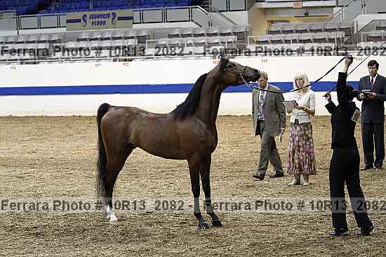 Proof 10r13_2082