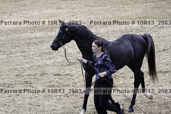 Proof 10r13_2083