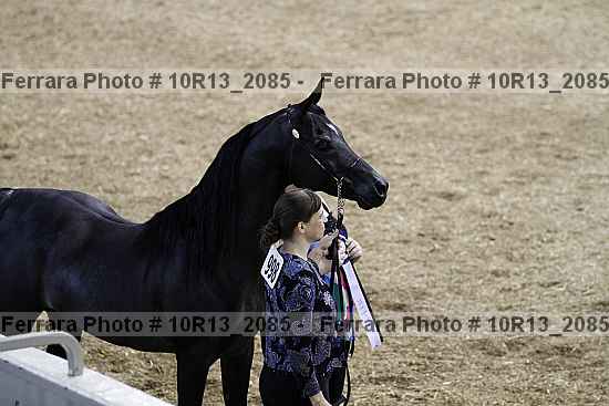 Proof 10r13_2085