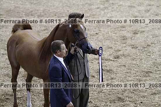 Proof 10r13_2088